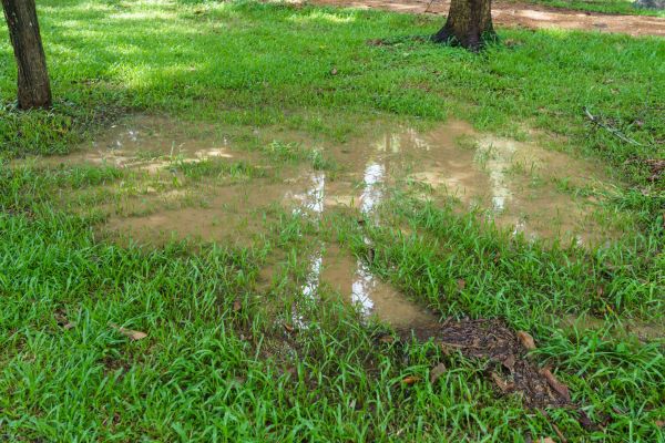 Cost of Storm Water Drainage Service in San Rafael