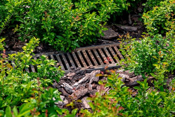 Cost of Underground Drainage Service in San Rafael