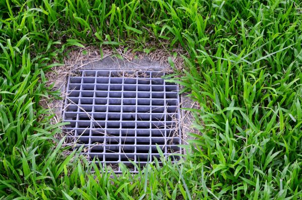 Cost of Yard Water Drainage in San Rafael