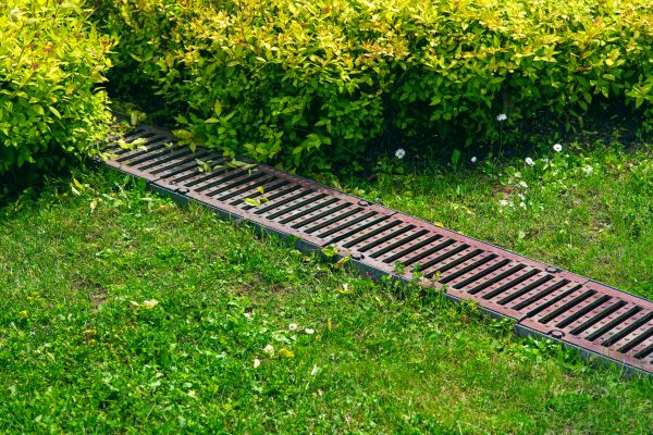 Cost of Lawn Drainage in San Rafael