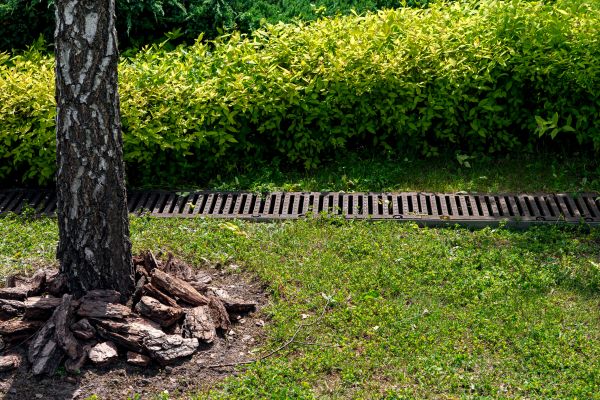 Cost of Yard Water Redirection in San Rafael
