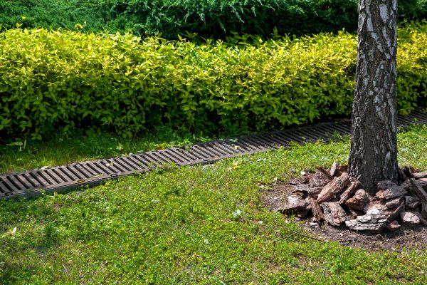 Cost of Residential Landscape Drainage in San Rafael