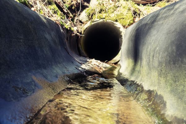 Drainage Swale Installation in San Rafael