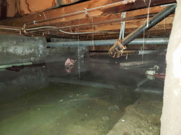 Cost of Crawlspace Drainage in San Rafael