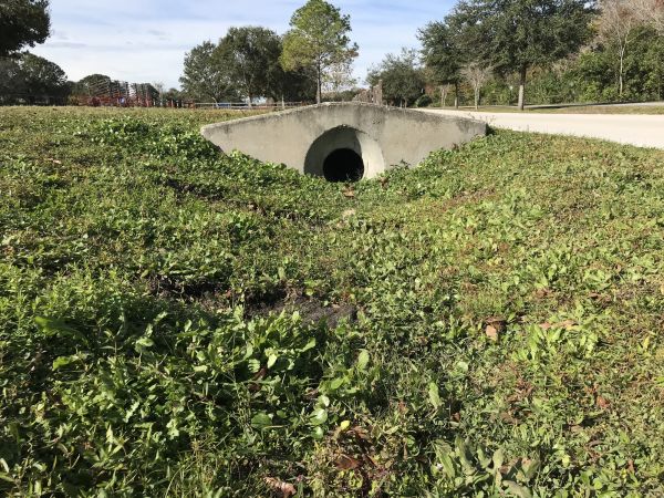 Cost of Swale Drainage Service in San Rafael